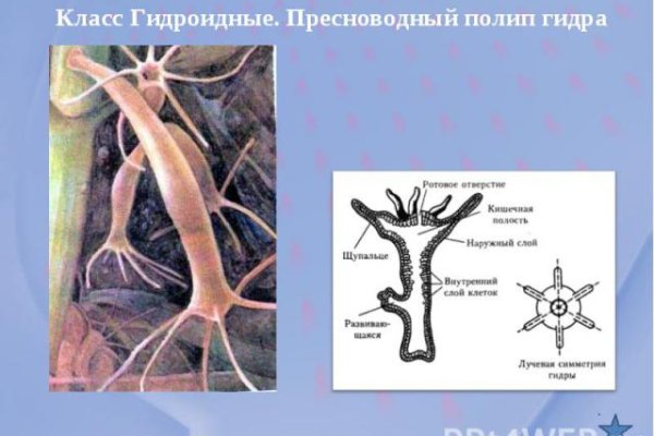 Восстановить доступ к кракену