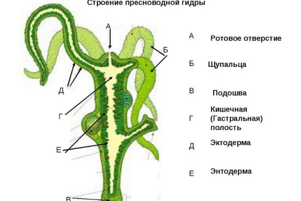 Кракен нарк