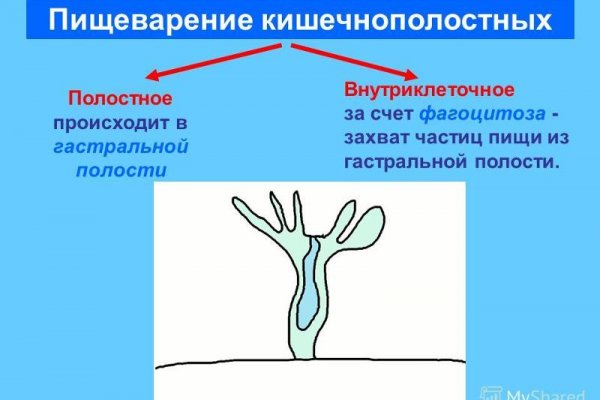 Ссылки на кракен маркетплейс тг