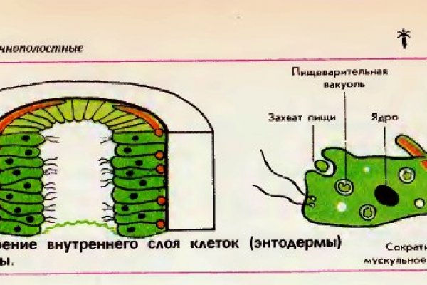 Кракен kr2web in