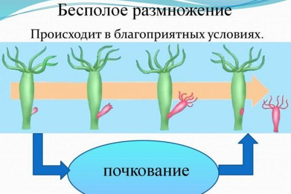 Кракен нарка шоп