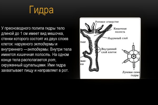 Какая ссылка на кракен